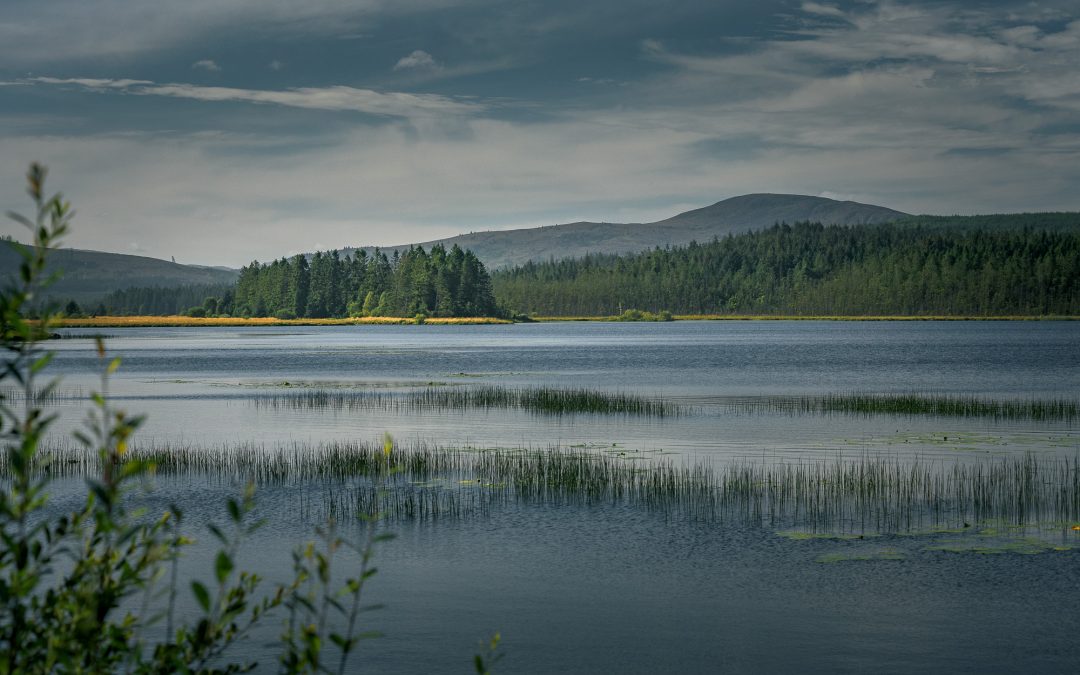 Loch Stroan